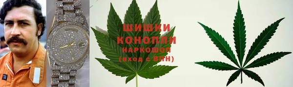 ПСИЛОЦИБИНОВЫЕ ГРИБЫ Заводоуковск