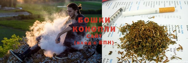 ПСИЛОЦИБИНОВЫЕ ГРИБЫ Заводоуковск
